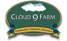 Cloud 9 Farm