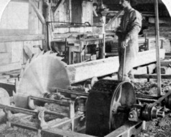 History of this Land: Bob Barnwell supplied sawmill lumber for the community (mid century) on this property.