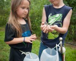 Kids Discover on Their Own
