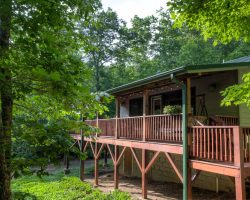 The Back of the Cabin