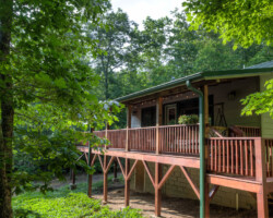 The Back of the Cabin