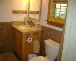 Bath with Walk-in Shower