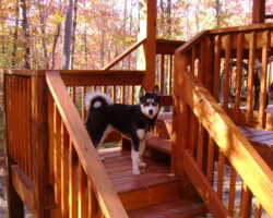 Rocky is in his element now.