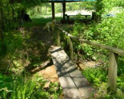 “I crossed the bridge all by myself!” barks Happy.
