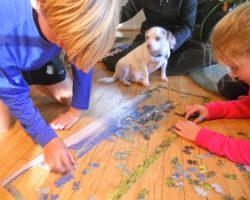 “Bandit” is trying to figure how he can help with the puzzle at Cloud 9.