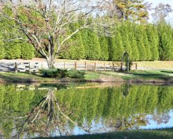 Reflect on this View