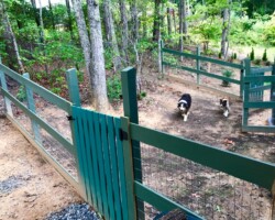 Pet Friendly with a Dedicated Dog Lot