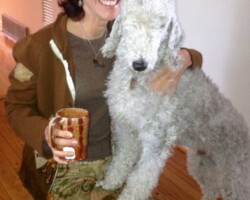 Yes, my dog actually snorted with the new smells on Cloud 9 Farm.