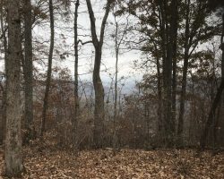 View from the Mountain Top