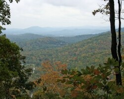 Your pooch may not enjoy the view from our mountain top hike as much as you but they will know a stop to rest is welcome.