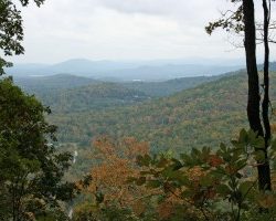 Your pooch may not enjoy the view from our mountain top hike as much as you but they will know a stop to rest is welcome.