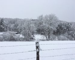 Valley view of Cloud 9 's Mountain Ridge