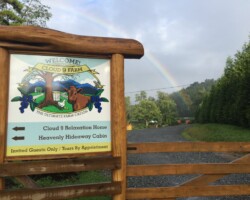 Entrance in the Valley