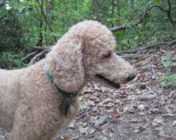 I’m ready for that walk you promised me on Cloud 9!