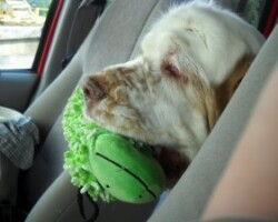 Are we there, yet?