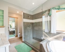 Master Bathroom Shower