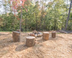 Fire Pit off the Patio