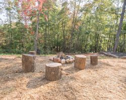 Fire Pit off the Patio