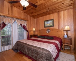 Master and Only Bedroom