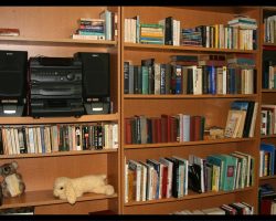 Extensive Library in Palm Room