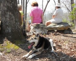 “Destiny” makes the hike to the top of Buzzard’s Roost.