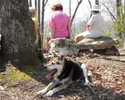 “Destiny” makes the hike to the top of Buzzard’s Roost.