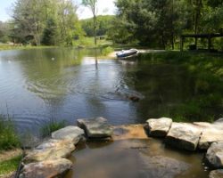 Enjoying the day with a swim after a stick in Peterson Pond on Cloud 9 Farm.